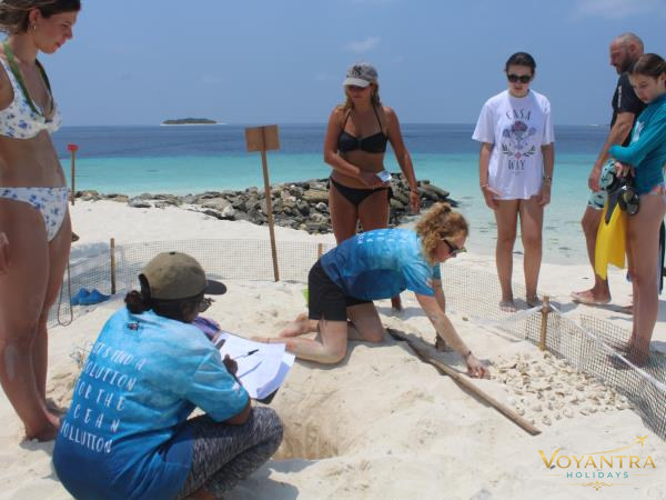 Conservation workers and visitors gathered around a marked area of sandy beach beside the ocean.